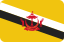 Brunei flag